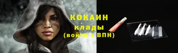 соль ск Козловка
