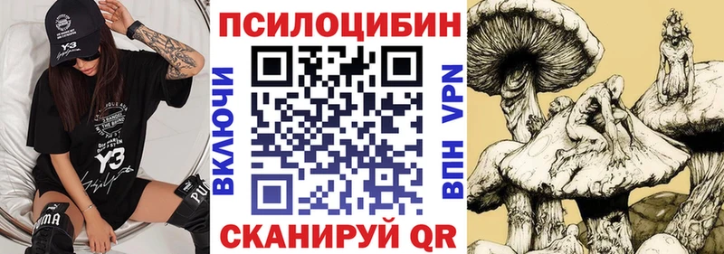 Псилоцибиновые грибы мухоморы  Купить  Купино 